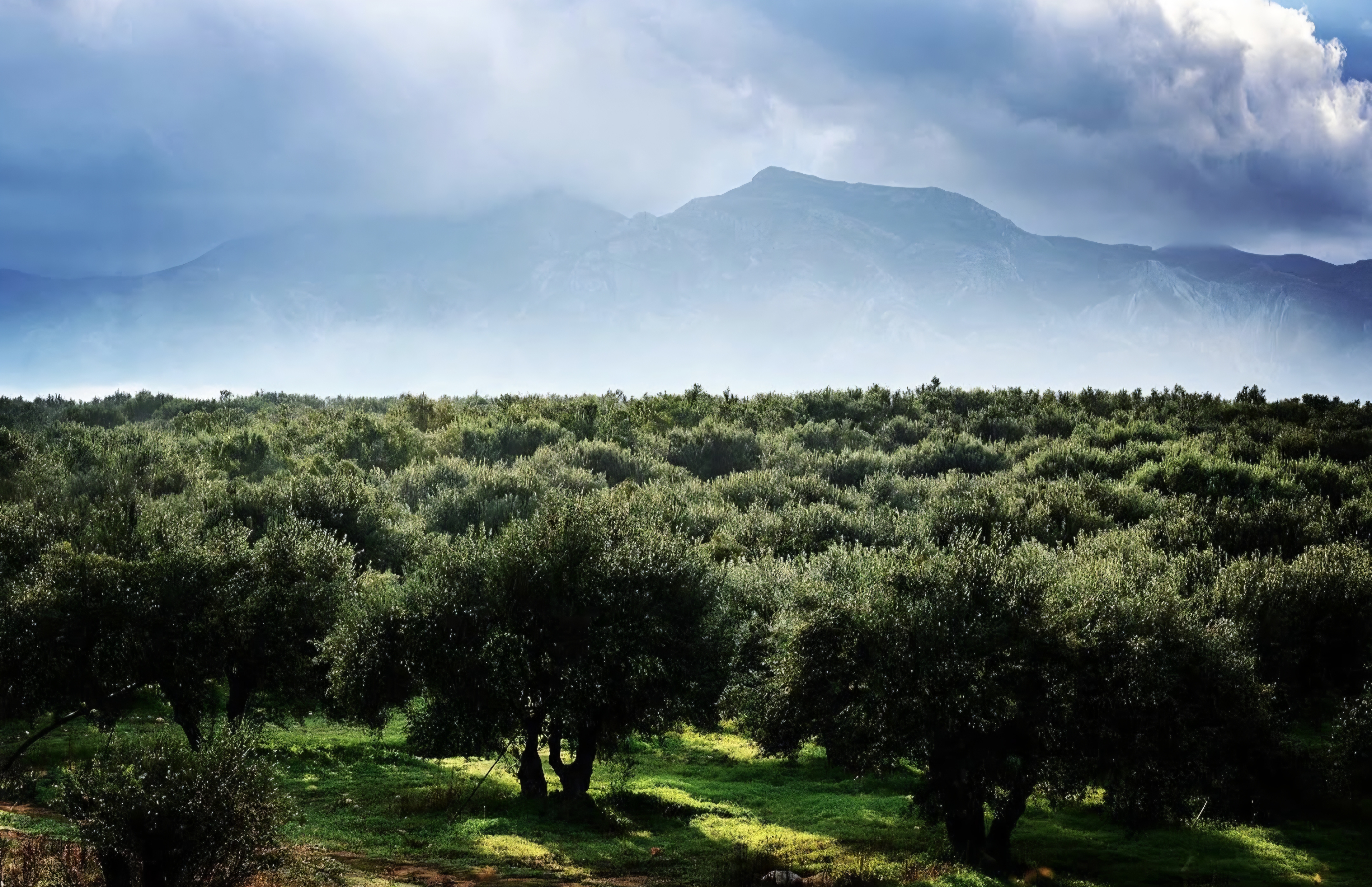 Asterius Reserve in the Mediterranean