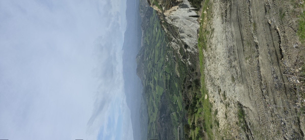 Packing the harvest for the mill