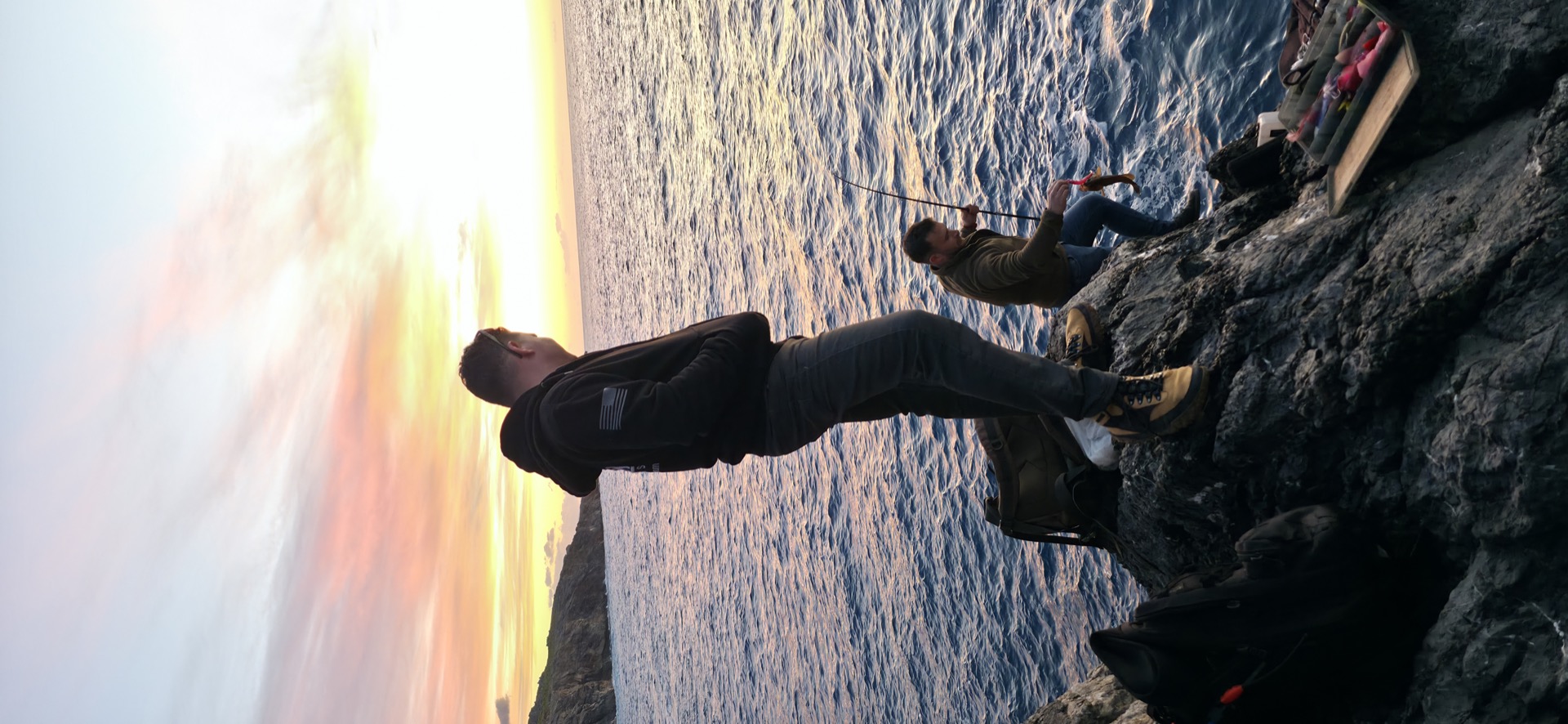 Aerial view of the olive groves