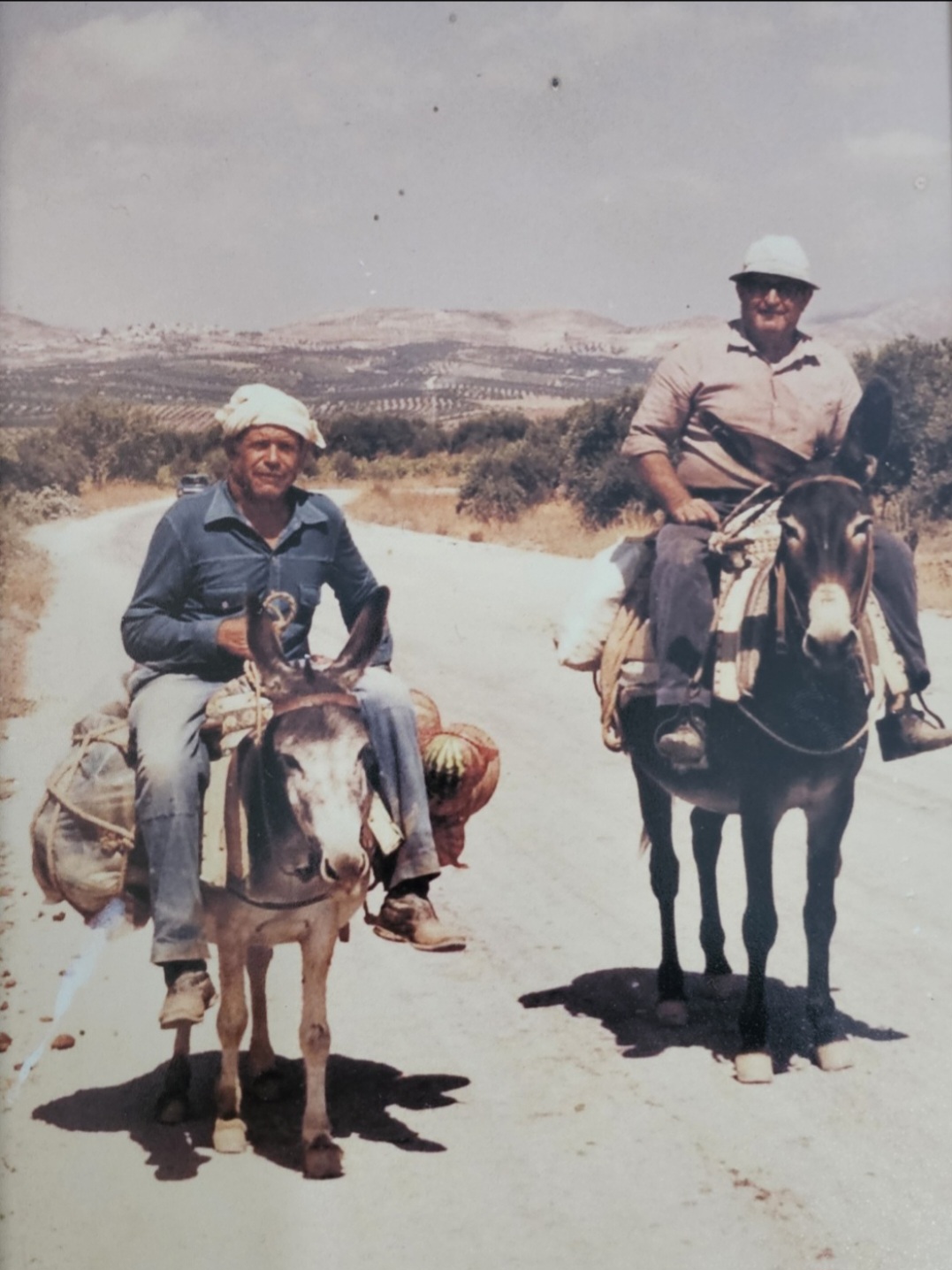 The Vasilakis family heritage